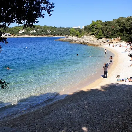 Apartment With Parking Space - 20815